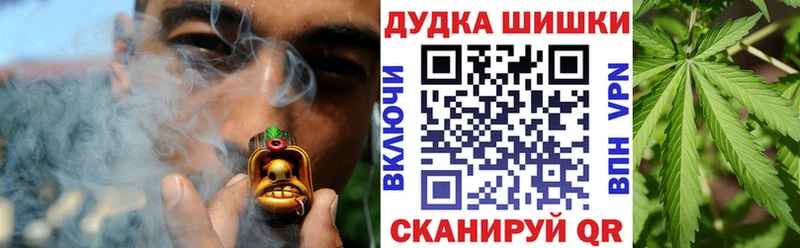 купить закладку Невель Шишки марихуана семена